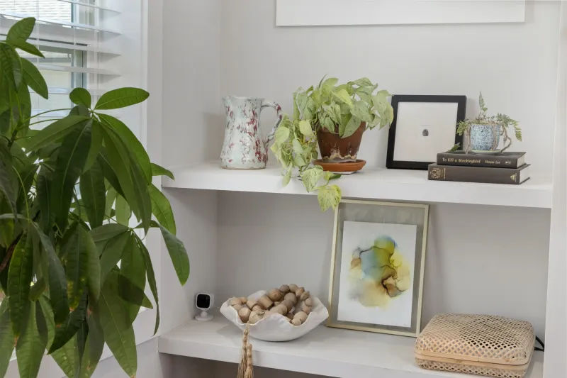 Why Europeans Don't Need Storage Solutions (And What That Says About How They Shop)